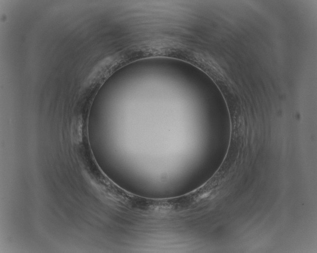 X0000071360694200606261317