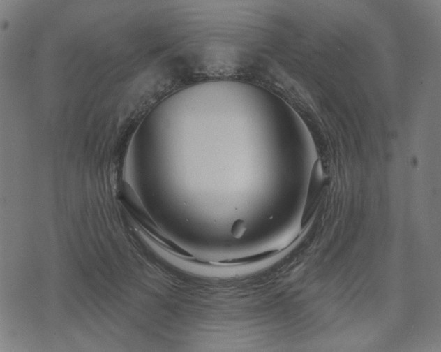 X0000071360697200606261317