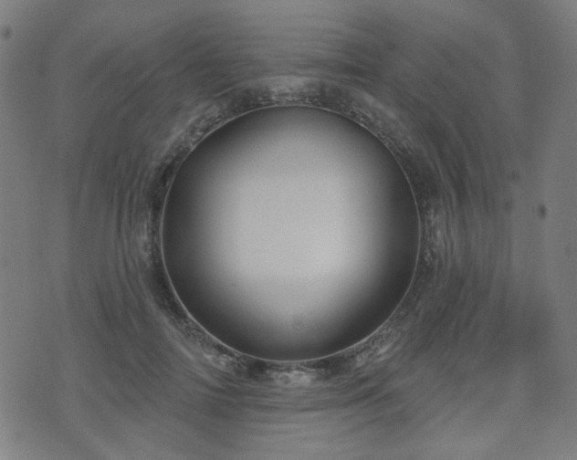 X0000071360698200606261317