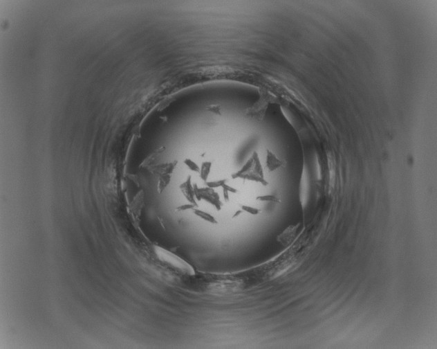 X0000071360700200606261317