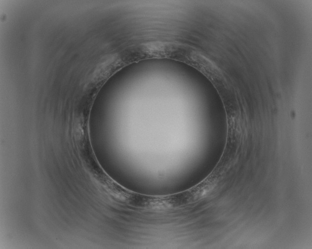 X0000071360702200606261317