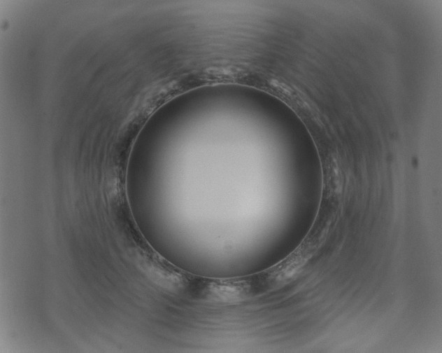 X0000071360706200606261317