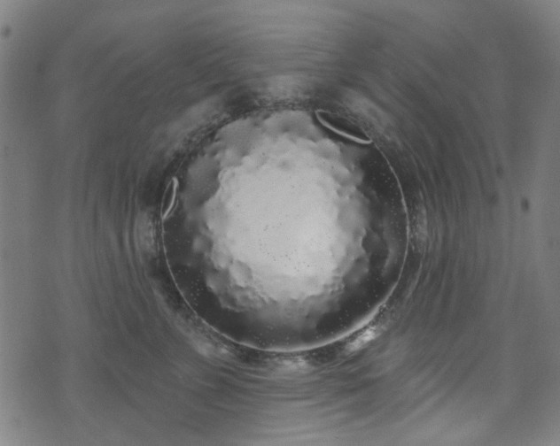 X0000071360715200606261317