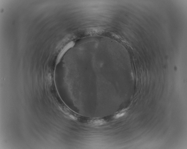 X0000071360716200606261317