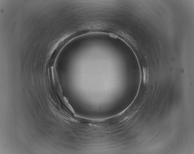 X0000071360723200606261316