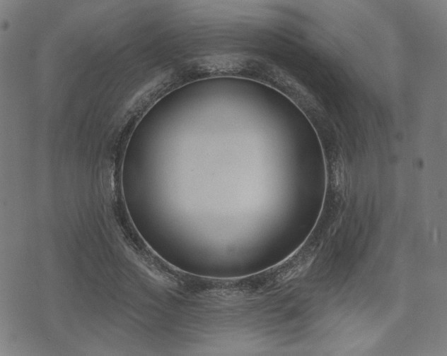 X0000071360733200606261316