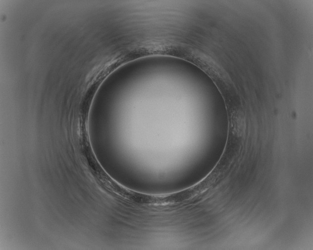 X0000071360740200606261316