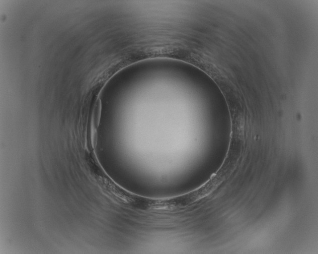 X0000071360746200606261316