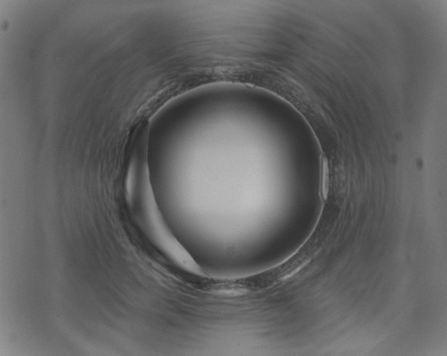 X0000071360750200606261316