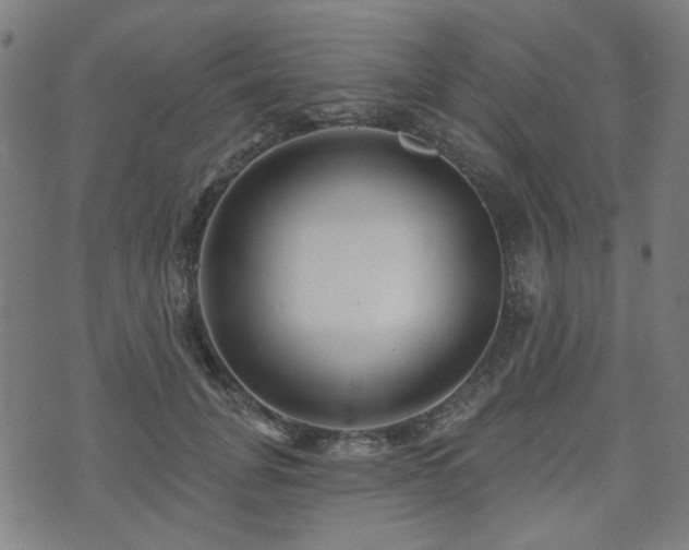 X0000071360751200606261316