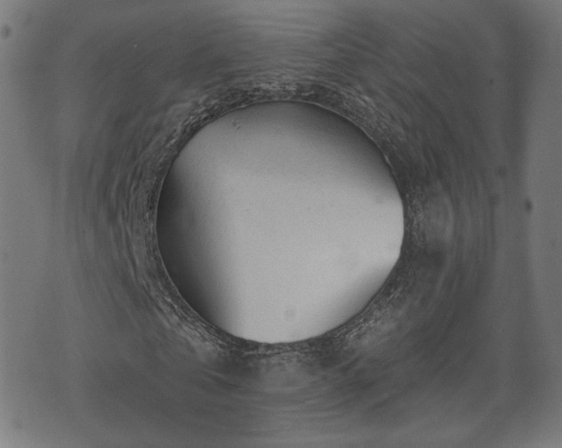 X0000071360769200606261316