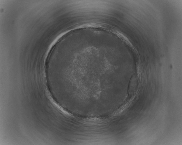 X0000071360784200606261316