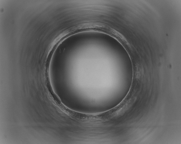 X0000071360786200606261316