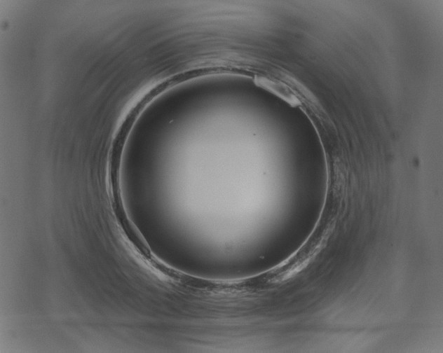 X0000071360788200606261315