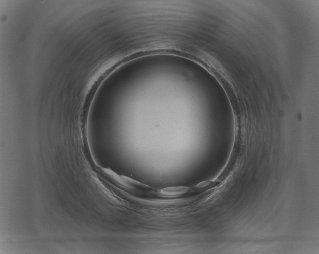 X0000071360789200606261315