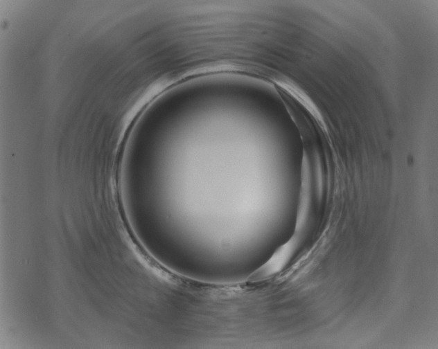 X0000071360813200606261315