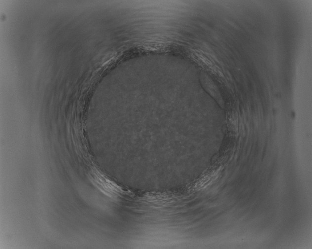 X0000071360817200606261314