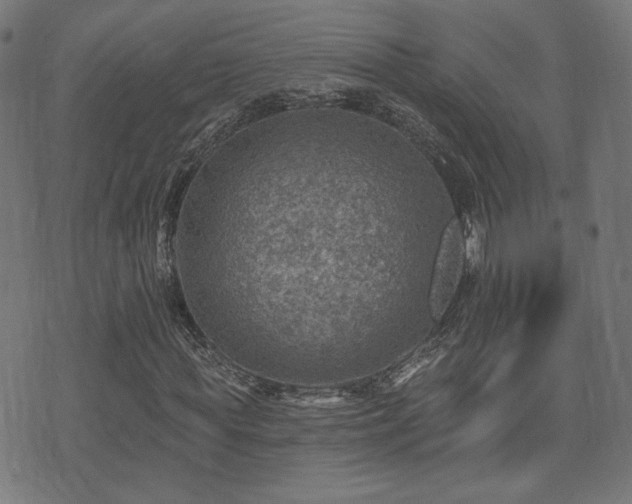 X0000071360819200606261314