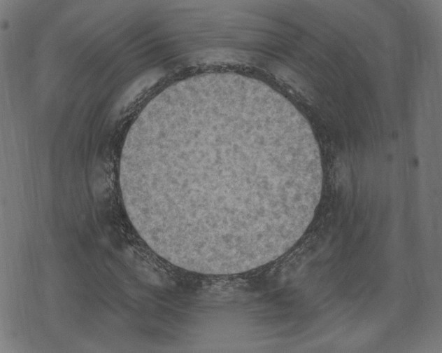 X0000071360824200606261314
