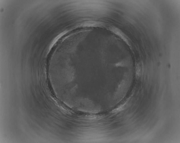 X0000071360829200606261314