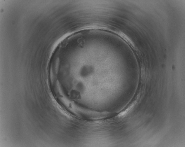 X0000071360854200606261315