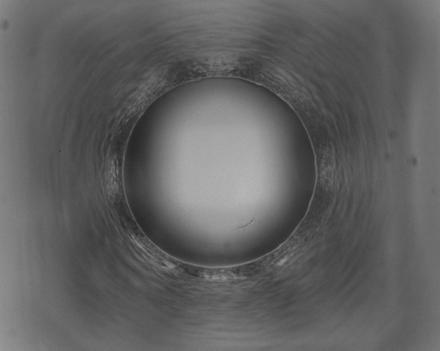 X0000071360866200606261314