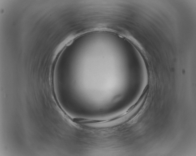 X0000071360910200606261313