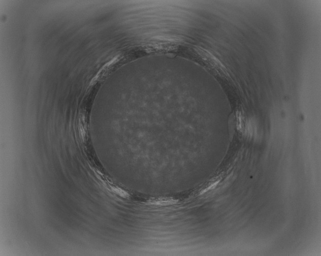 X0000071360915200606261313