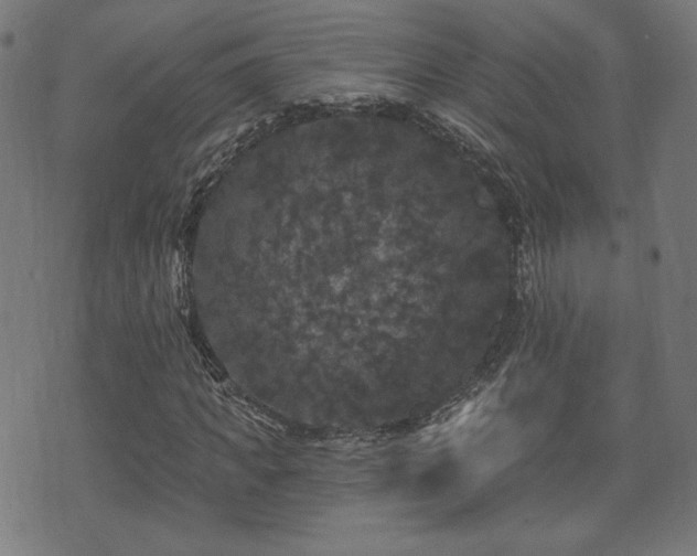 X0000071360917200606261313