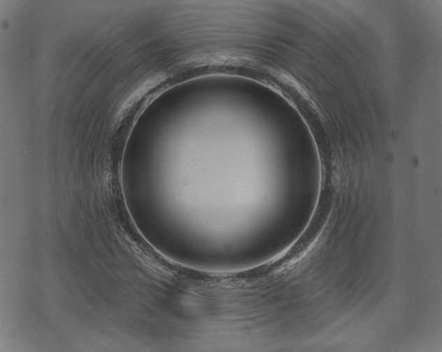 X0000071360922200606261313
