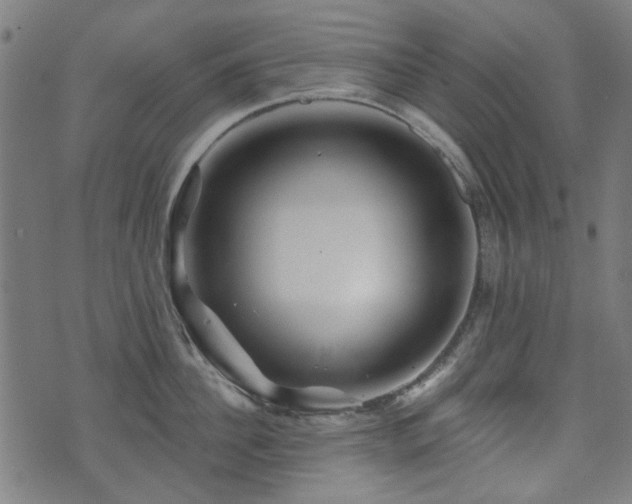 X0000071360956200606261313