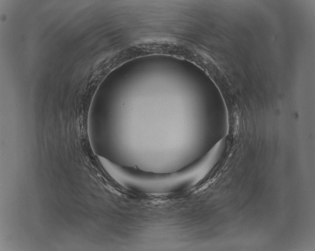 X0000071360965200606261313