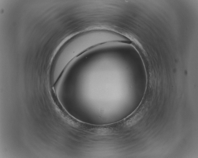 X0000071360984200606261312