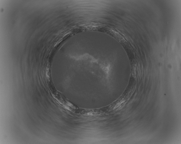 X0000071361010200606261311