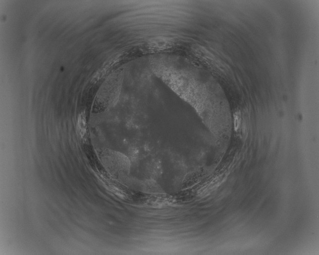 X0000071361011200606261311