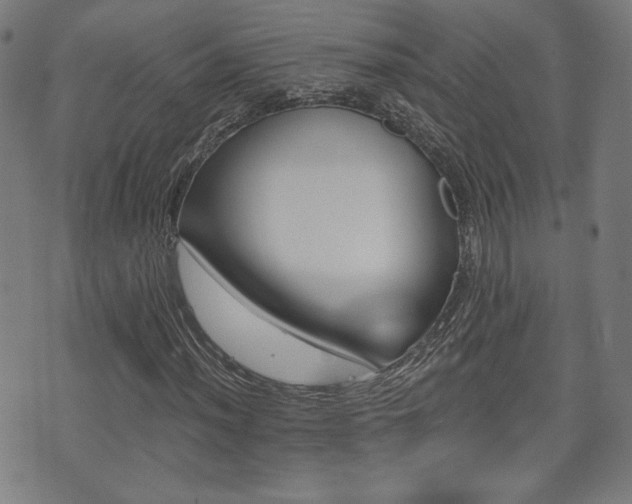 X0000071361012200606261311