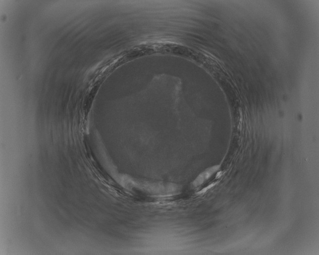 X0000071361014200606261311