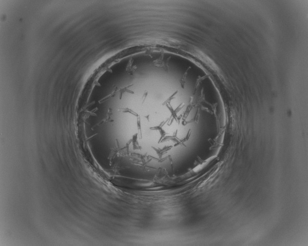 X0000071361020200606261311