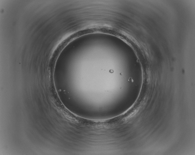 X0000071361021200606261311