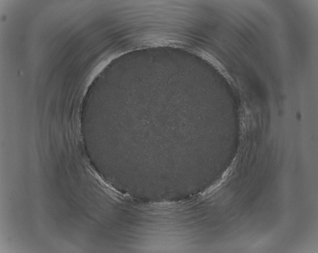 X0000071361023200606261311