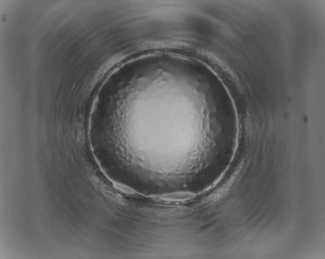 X0000071361025200606261311