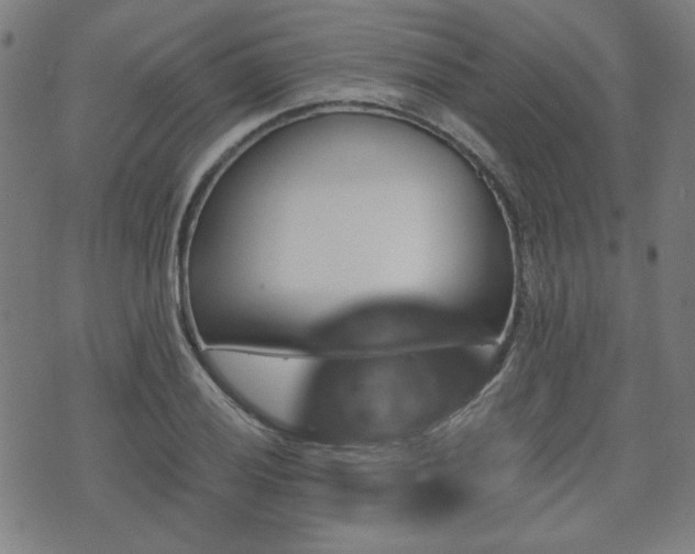 X0000071361028200606261311