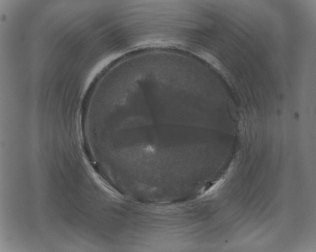 X0000071361030200606261311