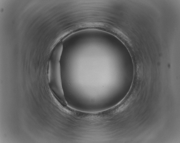 X0000071361033200606261311