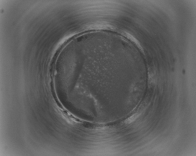 X0000071361035200606261311