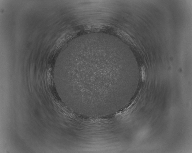 X0000071361059200606261311