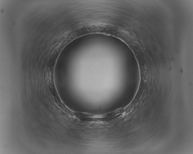 X0000071361061200606261311