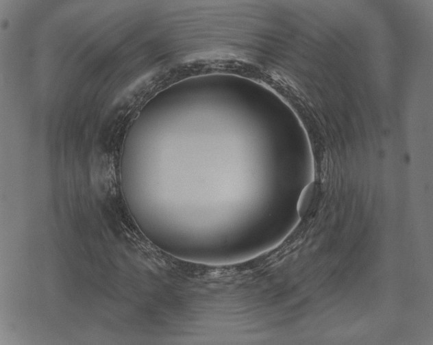 X0000071361062200606261311