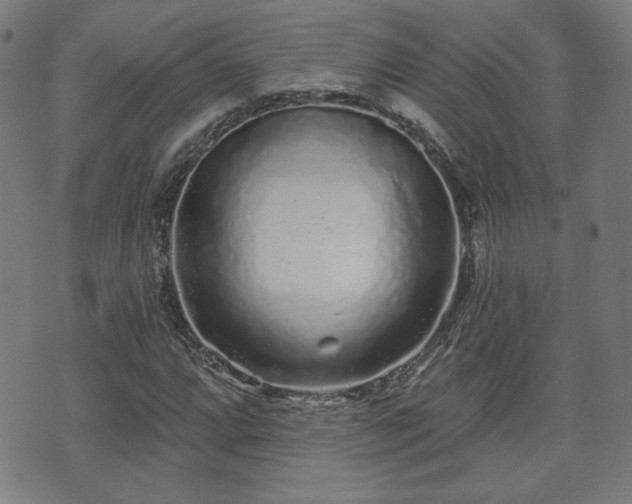 X0000071361064200606261311