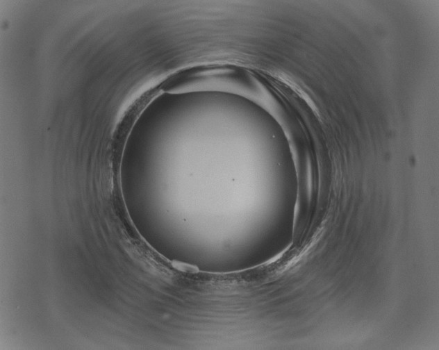 X0000071361069200606261311